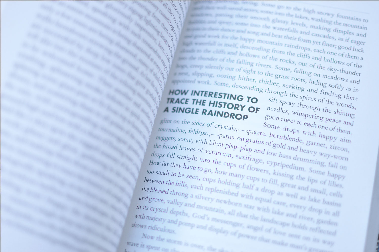 Inside image of a page with a pull quote in the book.
