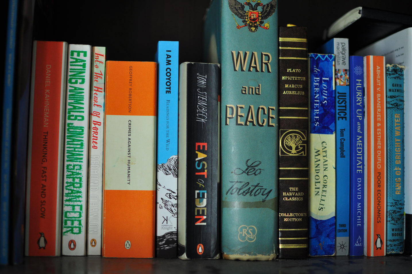Book sitting in a book shelf with other classics like War and Peace and East of Eden